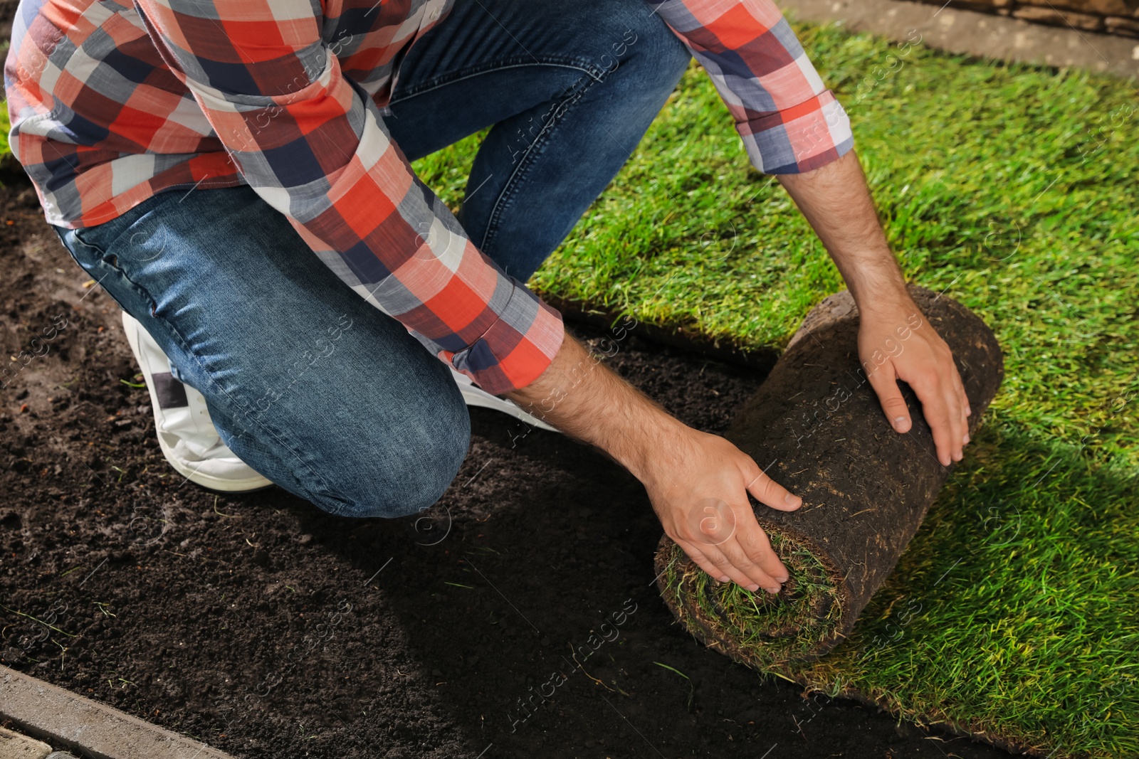 Photo of Young man laying grass sod on ground at backyard, closeup