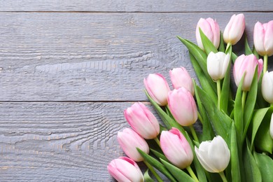 Photo of Beautiful pink spring tulips on grey wooden background, flat lay. Space for text