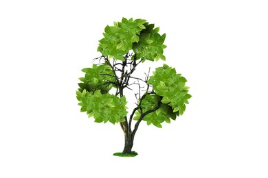 Image of Tree with green leaves in shape of recycling symbol on white background