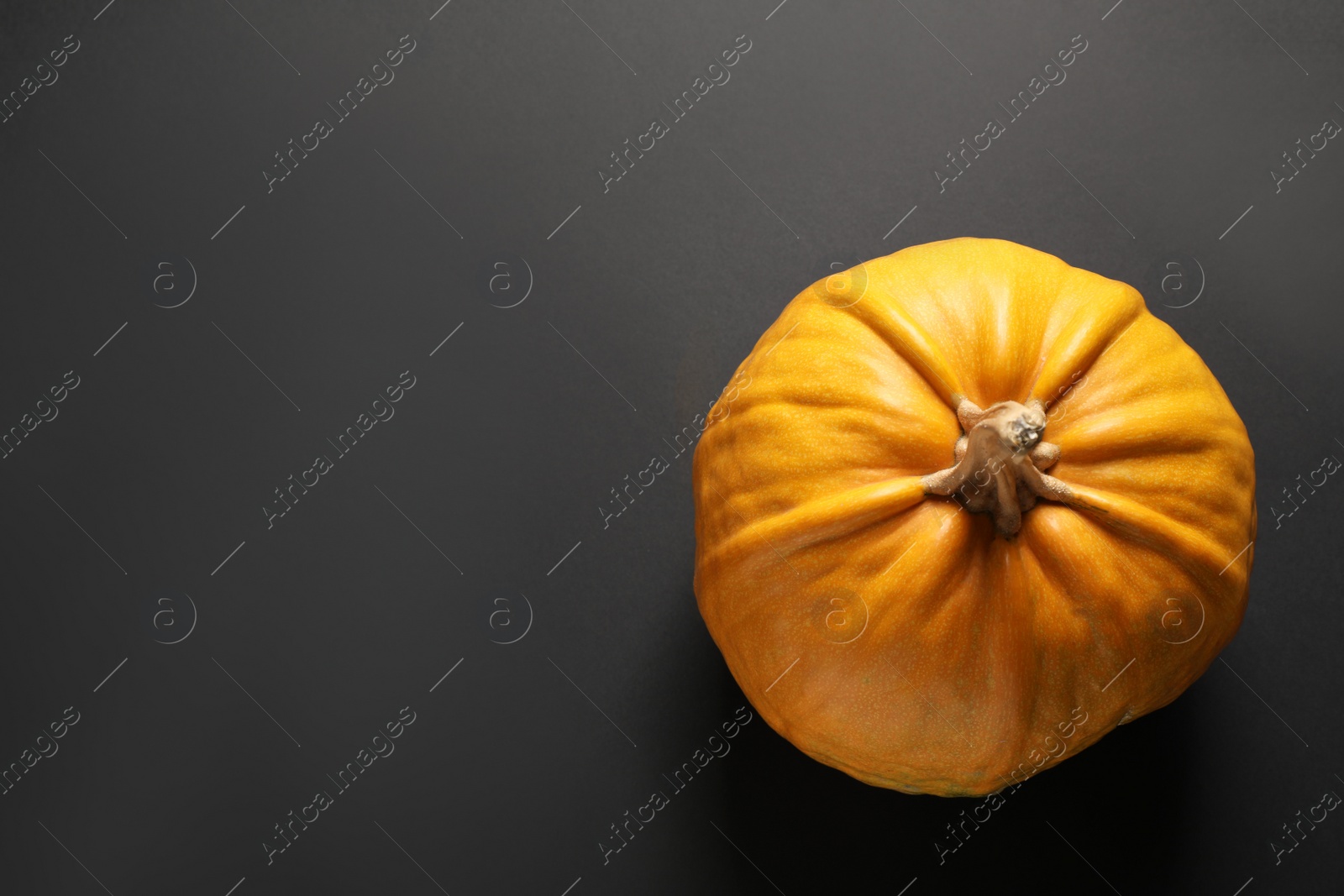 Photo of Fresh ripe pumpkin on black background, top view with space for text. Holiday decoration