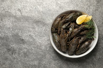 Photo of Fresh raw crayfishes with lemon and dill on grey table, top view. Space for text