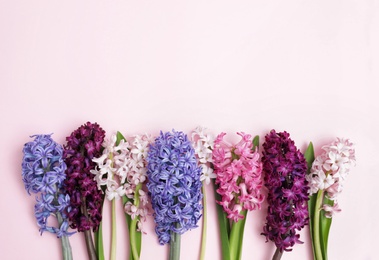 Photo of Beautiful spring hyacinth flowers on color background, top view. Space for text