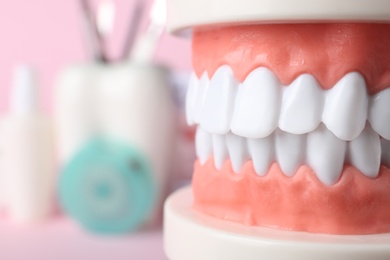 Photo of Educational model of oral cavity with teeth on blurred background, closeup. Space for text