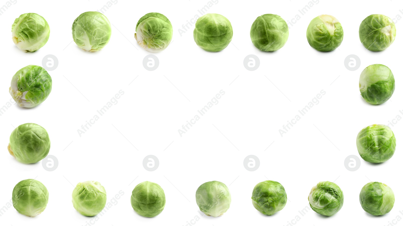 Image of Frame of fresh Brussels sprouts on white background. Banner design
