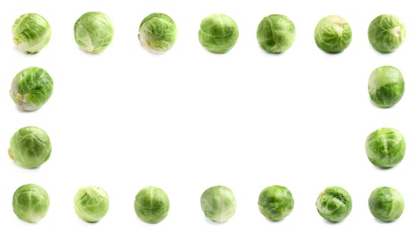 Image of Frame of fresh Brussels sprouts on white background. Banner design