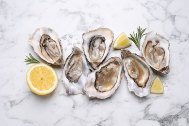 Photo of Fresh oysters with lemon and rosemary on white marble table, flat lay