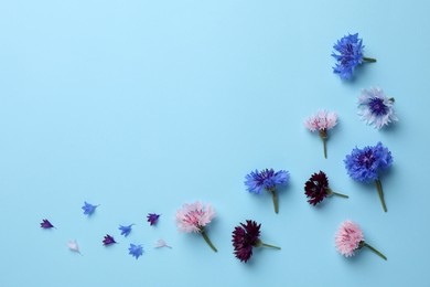 Beautiful colorful cornflowers on light blue background, flat lay. Space for text