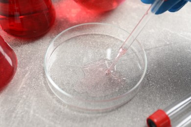 Photo of Laboratory analysis. Dripping red liquid into Petri dish on light grey table, closeup