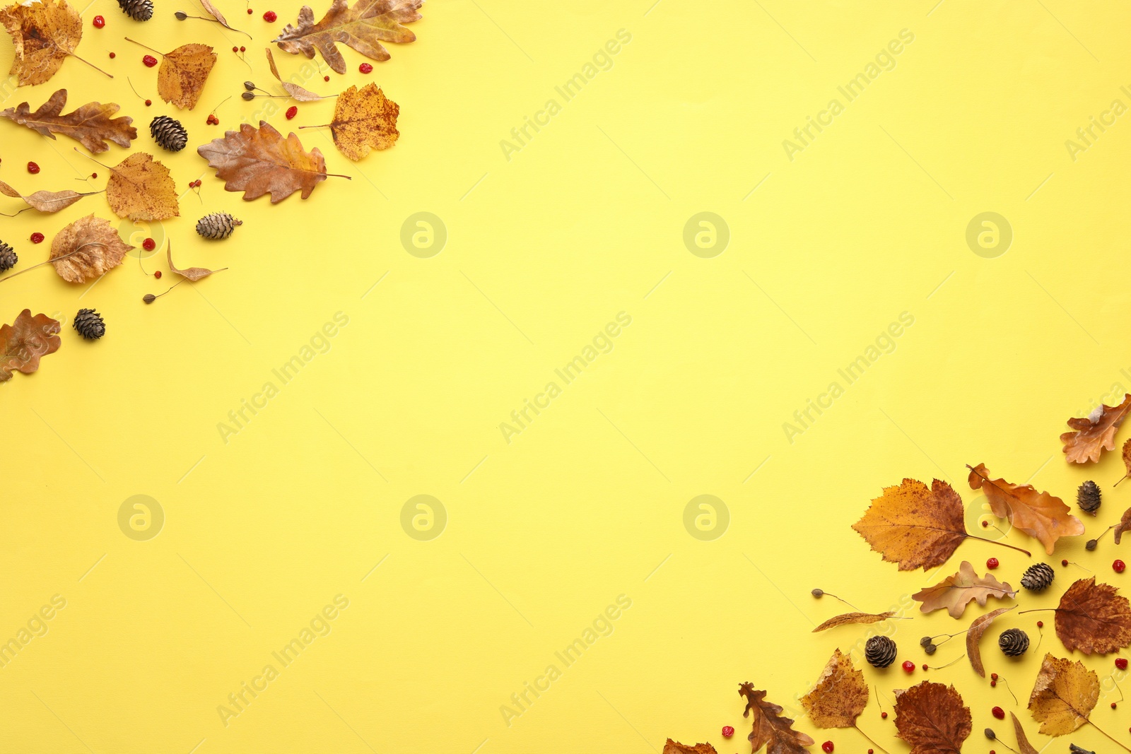 Photo of Autumn composition with dry leaves and cones on yellow background, flat lay. Space for text