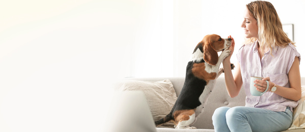 Young woman with her cute pet at home, space for text. Banner design