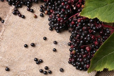 Tasty elderberries (Sambucus) on sack cloth, flat lay