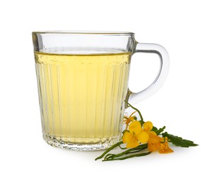 Glass cup of aromatic celandine tea and flowers on white background