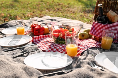 Tasty food served for summer picnic on blanket outdoors