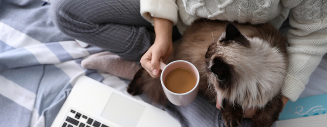 Image of Woman with her cute Balinese cat on bed at home, above view. Banner design