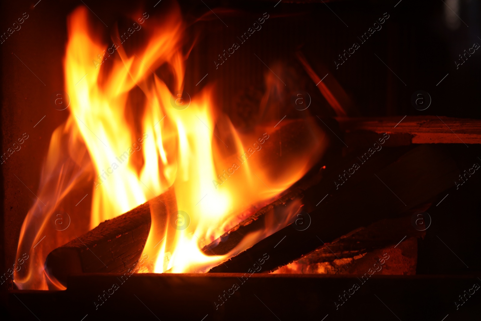 Photo of Bonfire with burning firewood on dark background