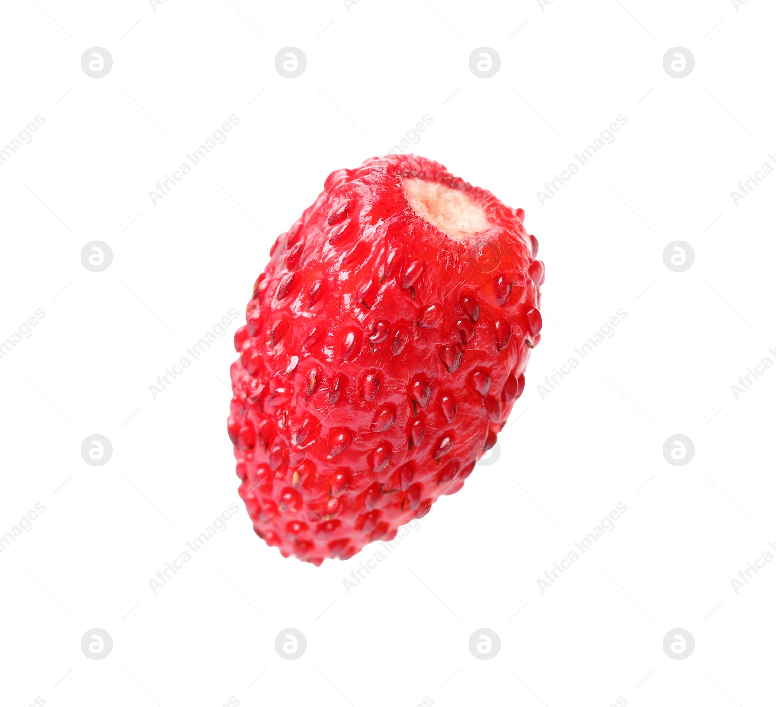 Photo of One ripe wild strawberry isolated on white