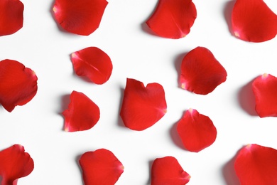 Red rose petals on white background, top view