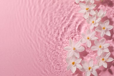 Beautiful daffodils in water on pink background, top view. Space for text