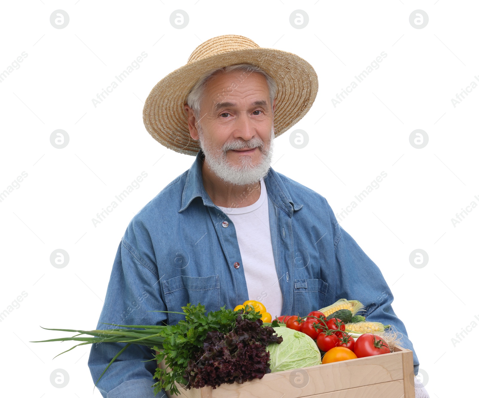 Photo of Harvesting season. Farmer holding wooden crate with vegetables on white background