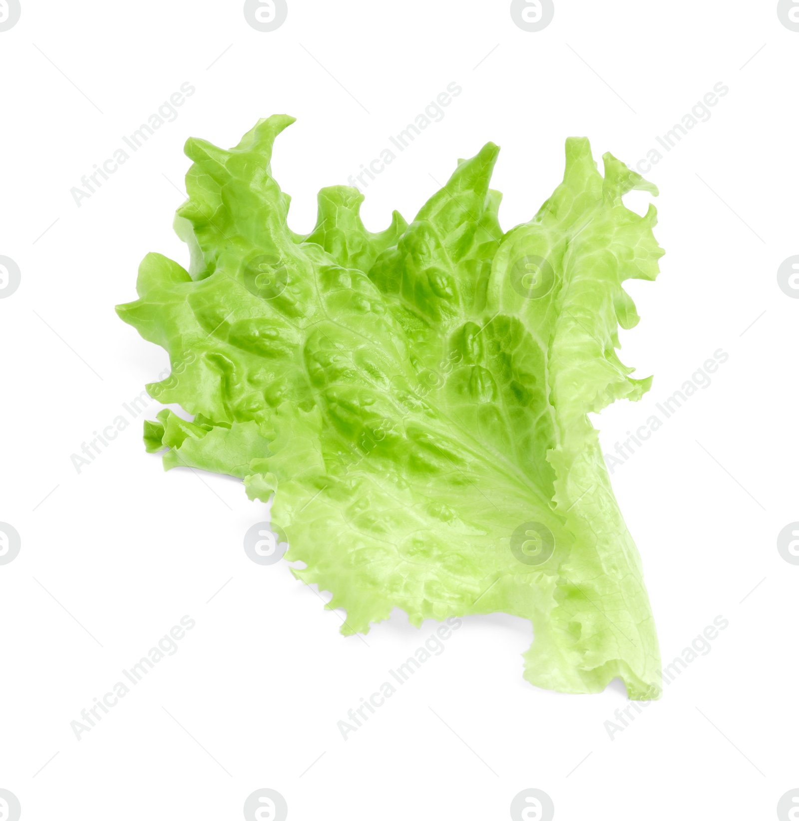 Photo of Fresh green lettuce leaf isolated on white