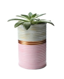 Photo of Beautiful succulent plant in painted tin can isolated on white. Home decor