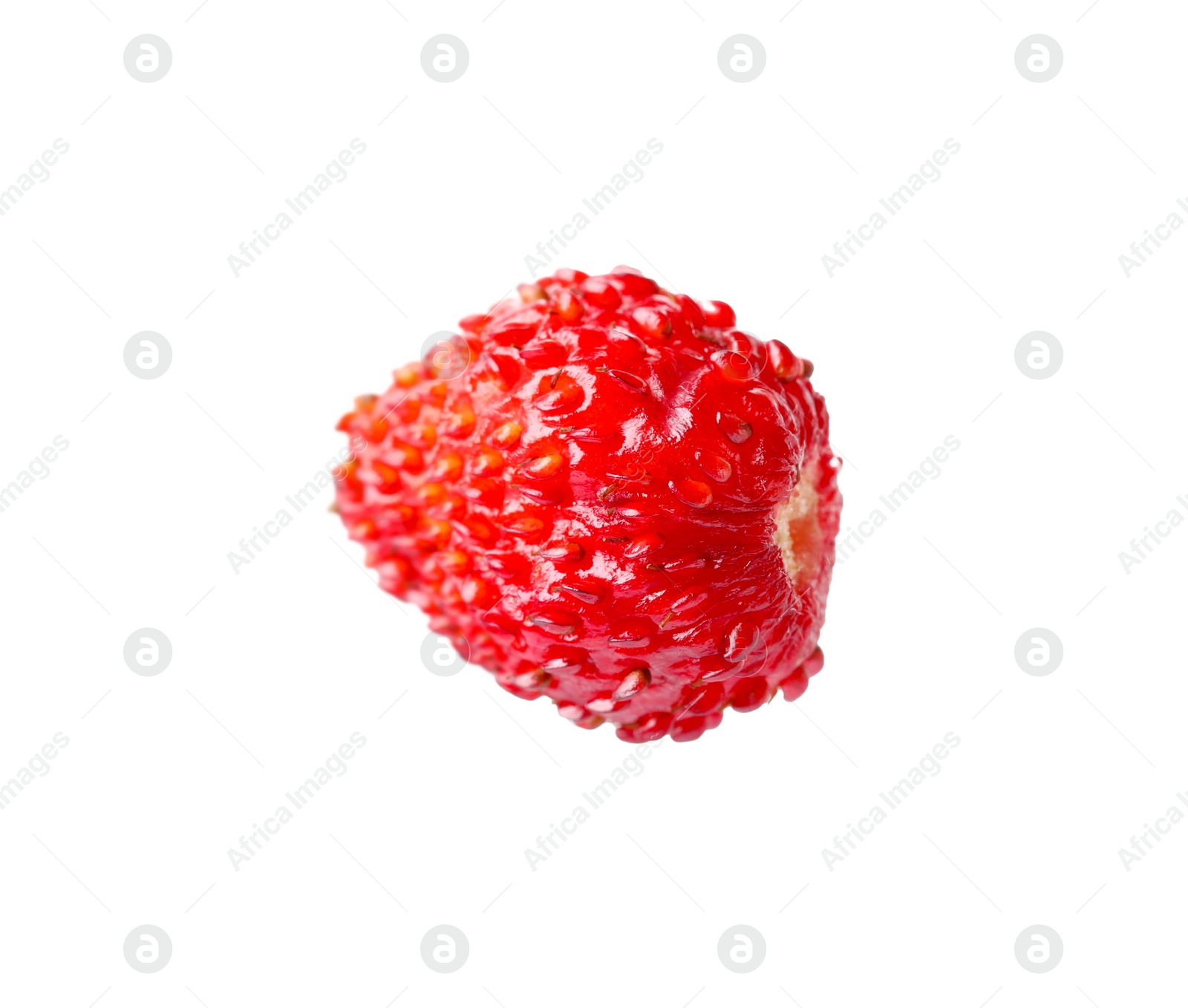 Photo of One ripe wild strawberry isolated on white