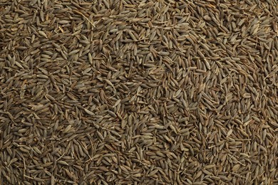 Photo of Aromatic caraway seeds as background, top view