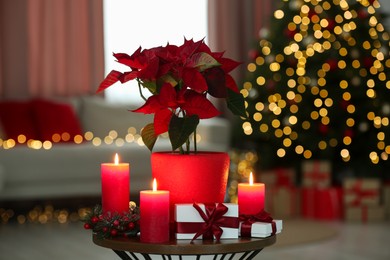 Photo of Potted poinsettia and burning candles on coffee table in decorated room. Christmas traditional flower