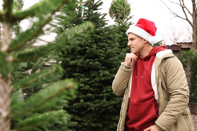 Man choosing plants at Christmas tree farm. Space for text