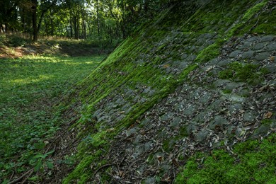 Photo of Stone wall overgrown with green moss outdoors