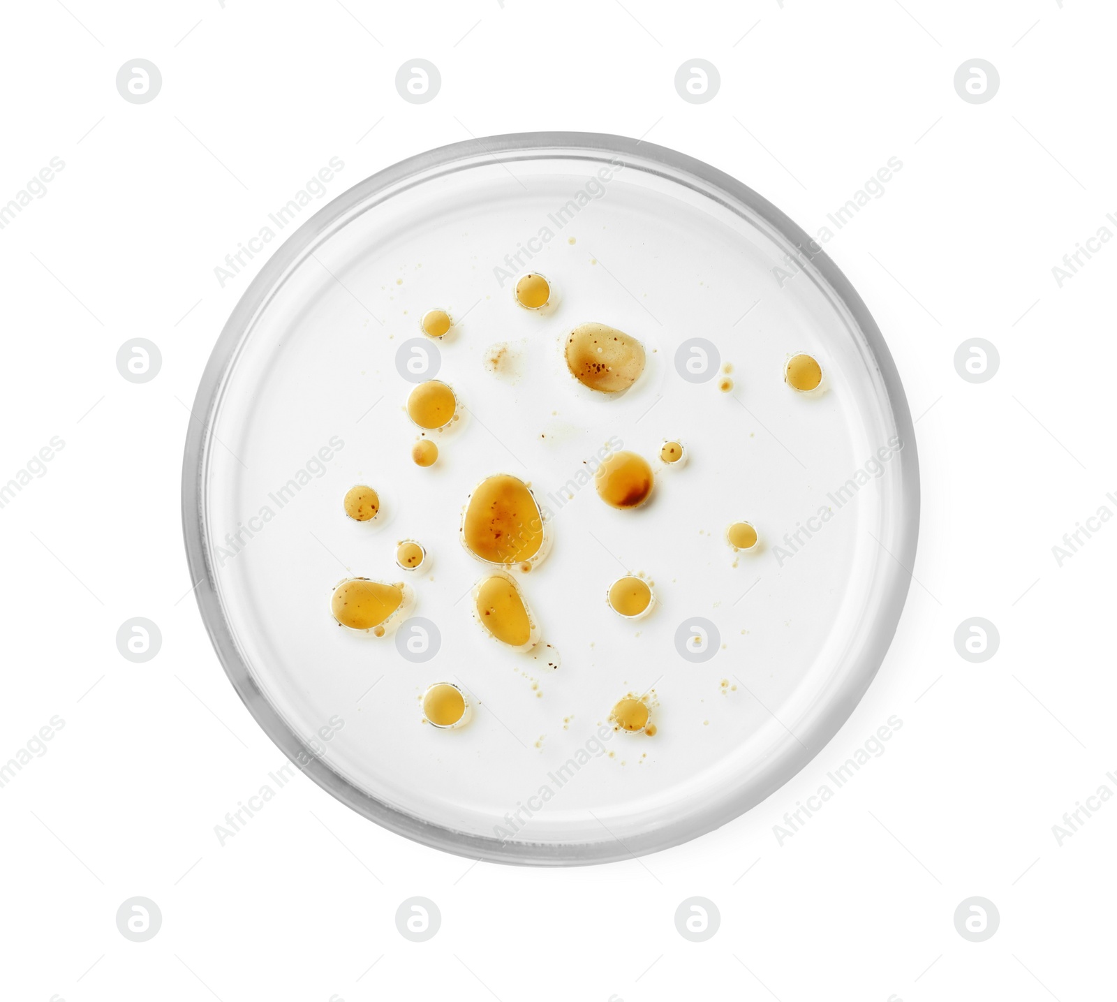 Photo of Petri dish with bacteria on white background, top view