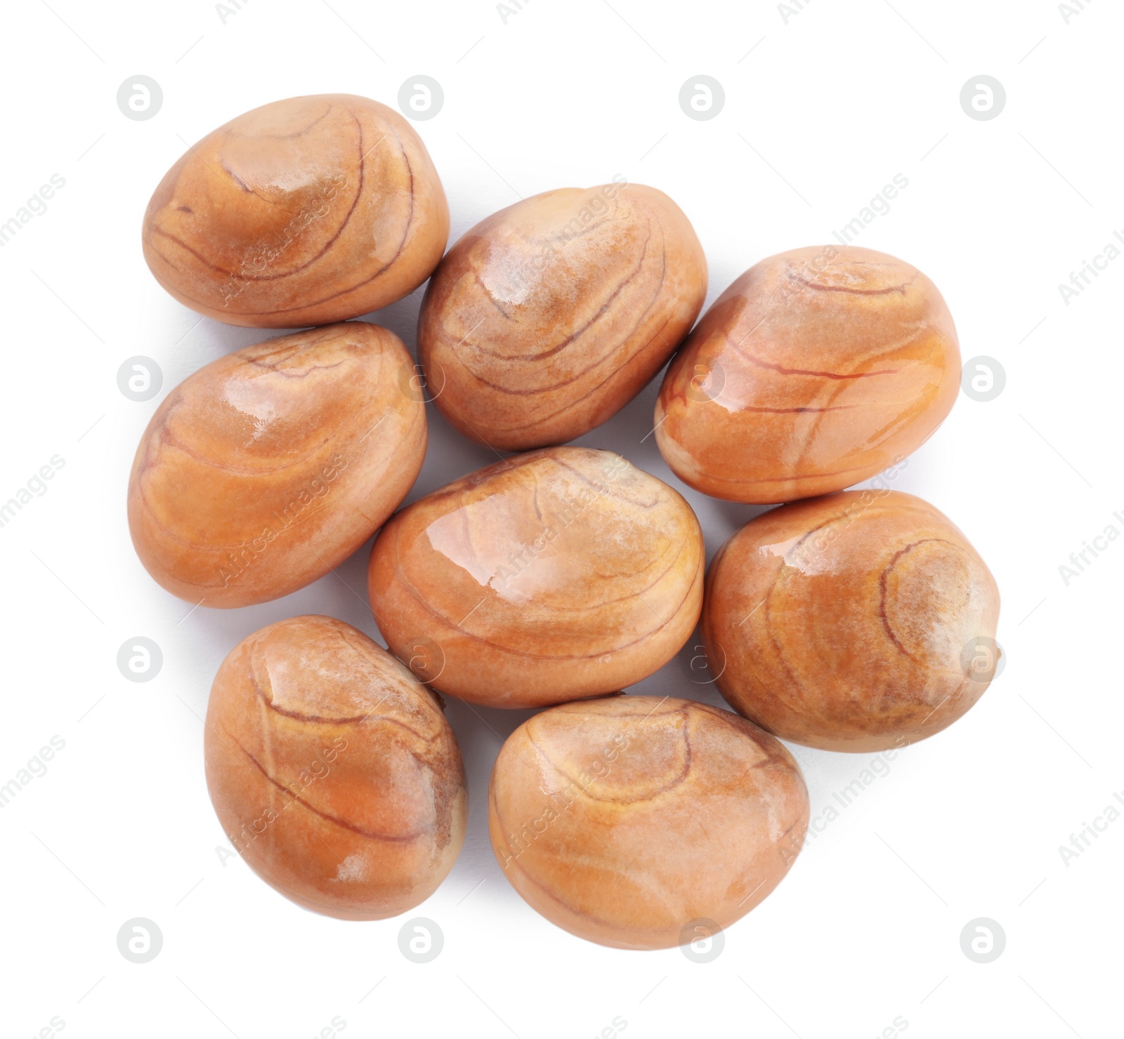 Photo of Fresh raw jackfruit seeds on white background, top view