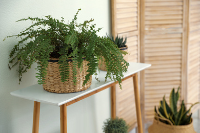 Photo of Houseplants in wicker pots indoors. Interior design