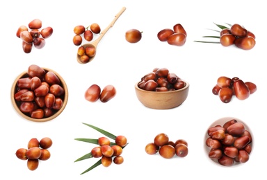 Image of Set with fresh ripe palm oil fruits on white background