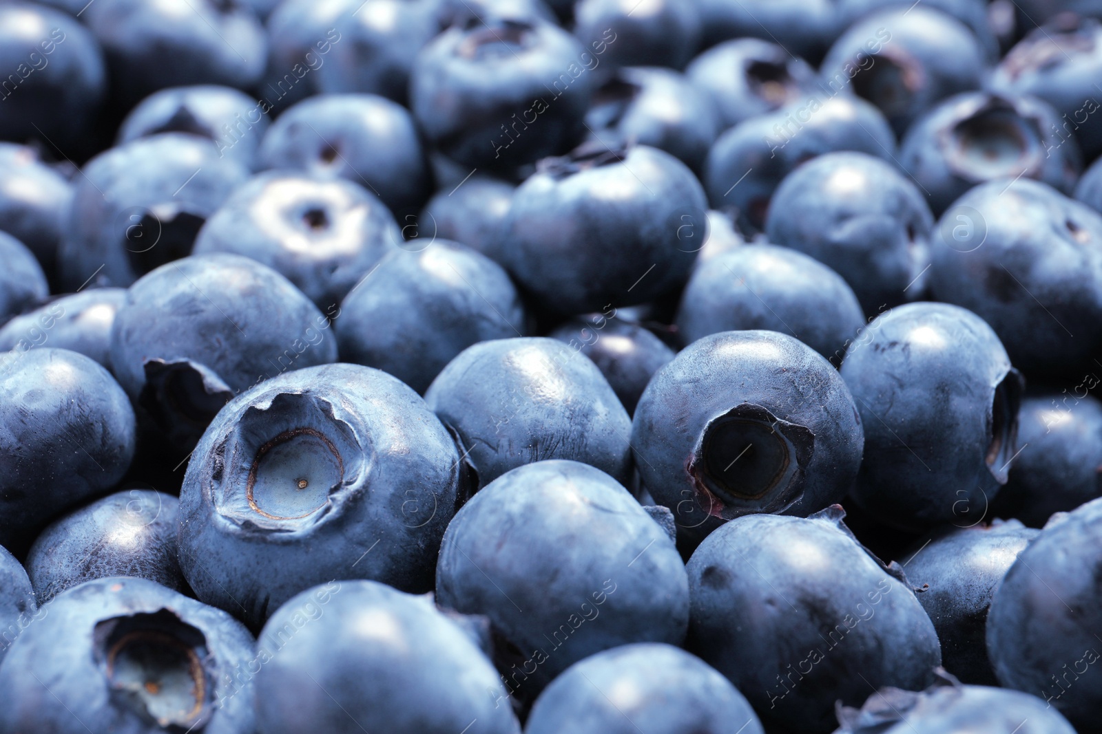 Photo of Tasty fresh blueberries as background, closeup view