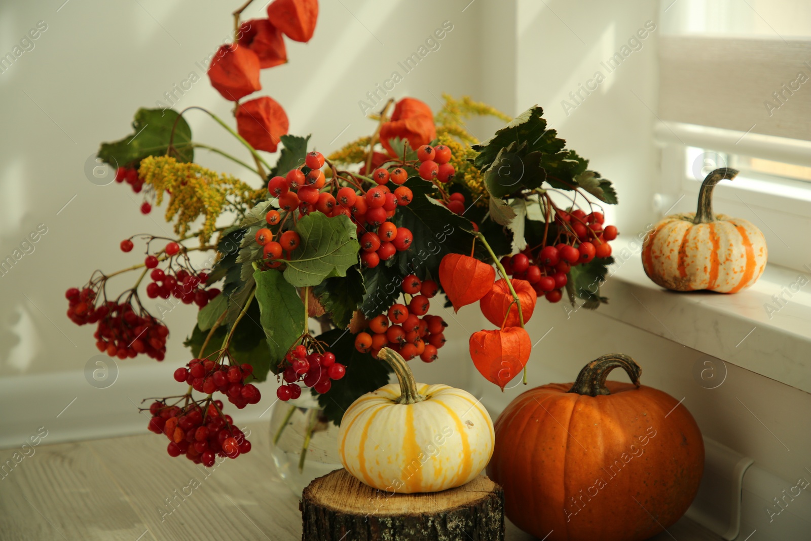 Photo of Beautiful autumn composition with different pumpkins indoors