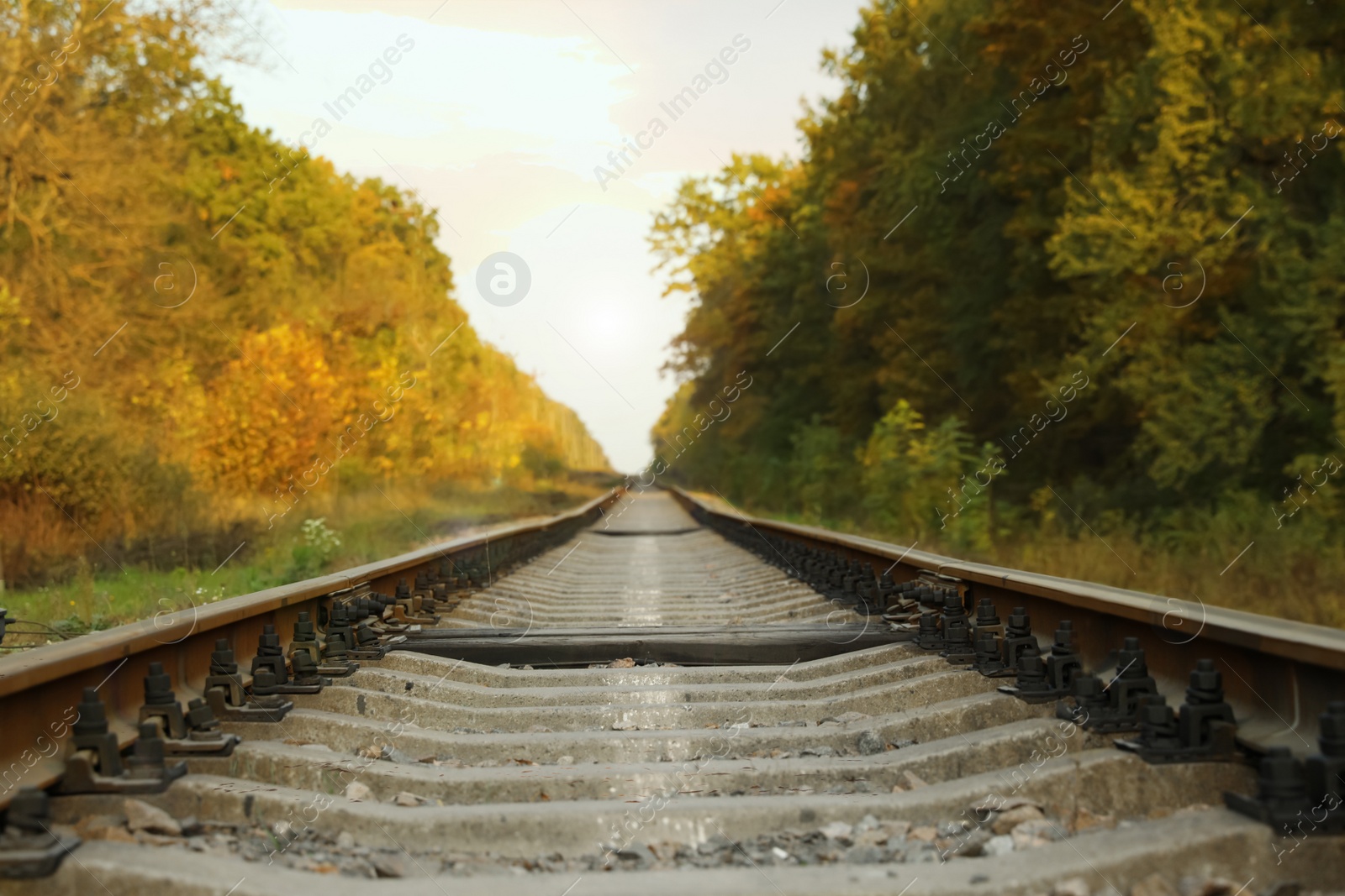 Photo of Picturesque view of railway near green autumn forest