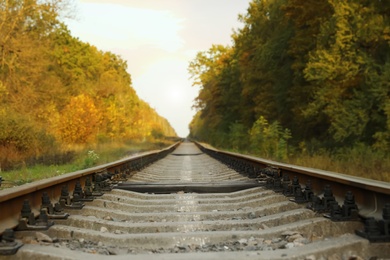 Picturesque view of railway near green autumn forest