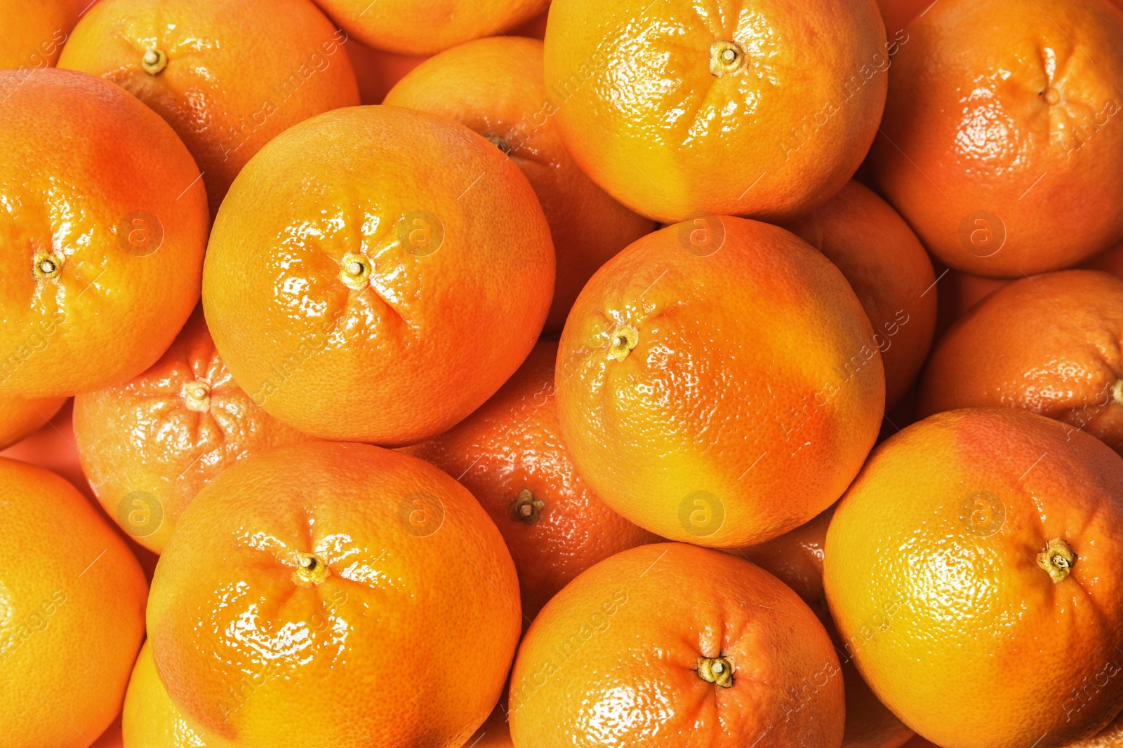 Photo of Many whole fresh ripe grapefruits as background, top view