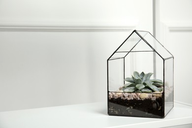 Photo of Glass florarium vase with succulent on white table indoors, space for text