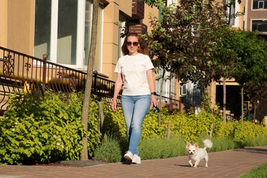 Woman walking with her cute Chihuahua dog on sidewalk outdoors