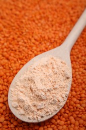 Spoon of lentil flour on seeds, closeup