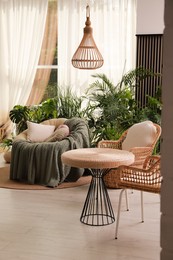 Indoor terrace interior with soft papasan chair and green plants