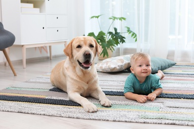 Adorable yellow labrador retriever and little boy at home