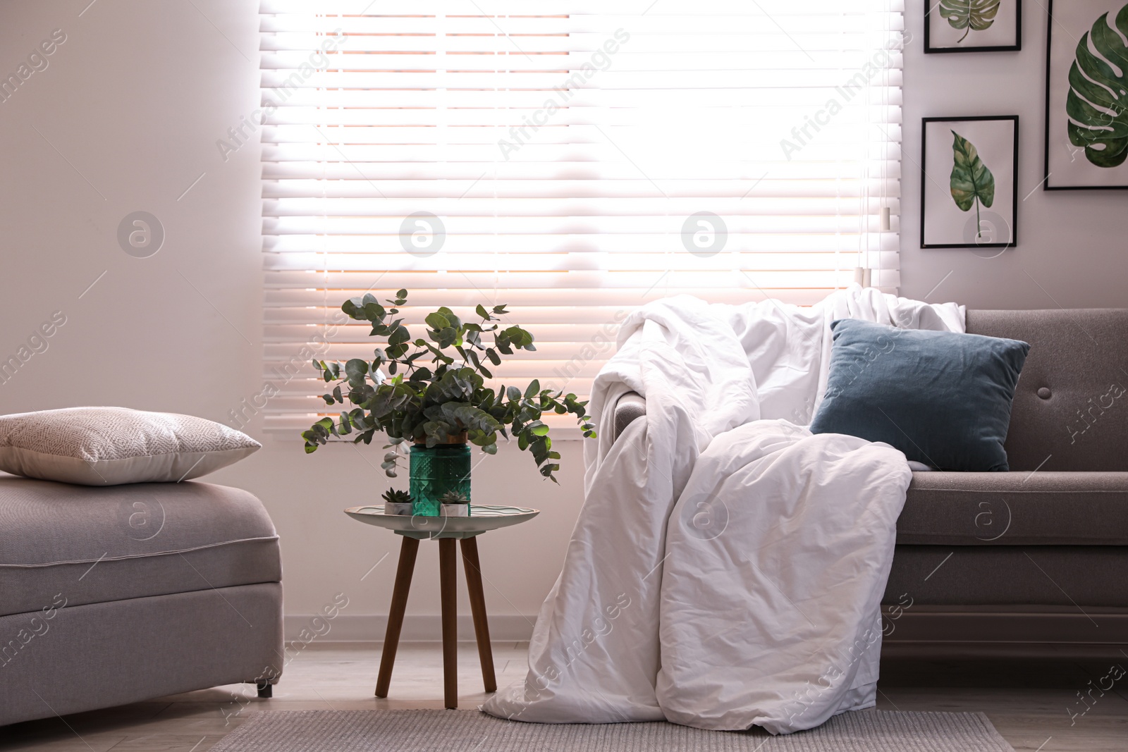 Photo of Comfortable sofa with blanket in stylish room interior