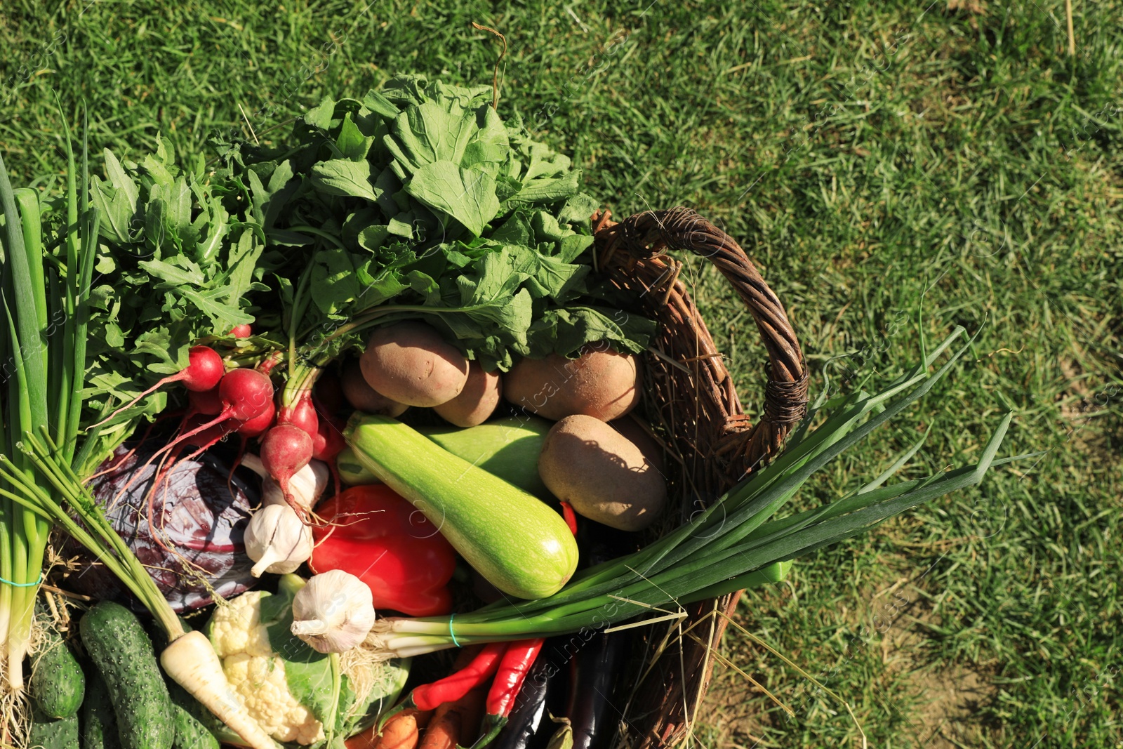 Photo of Different fresh ripe vegetables in wicker basket on grass, top view