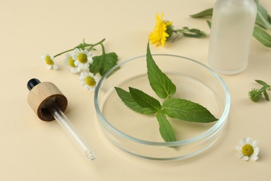 Photo of Composition with Petri dish and plants on beige background