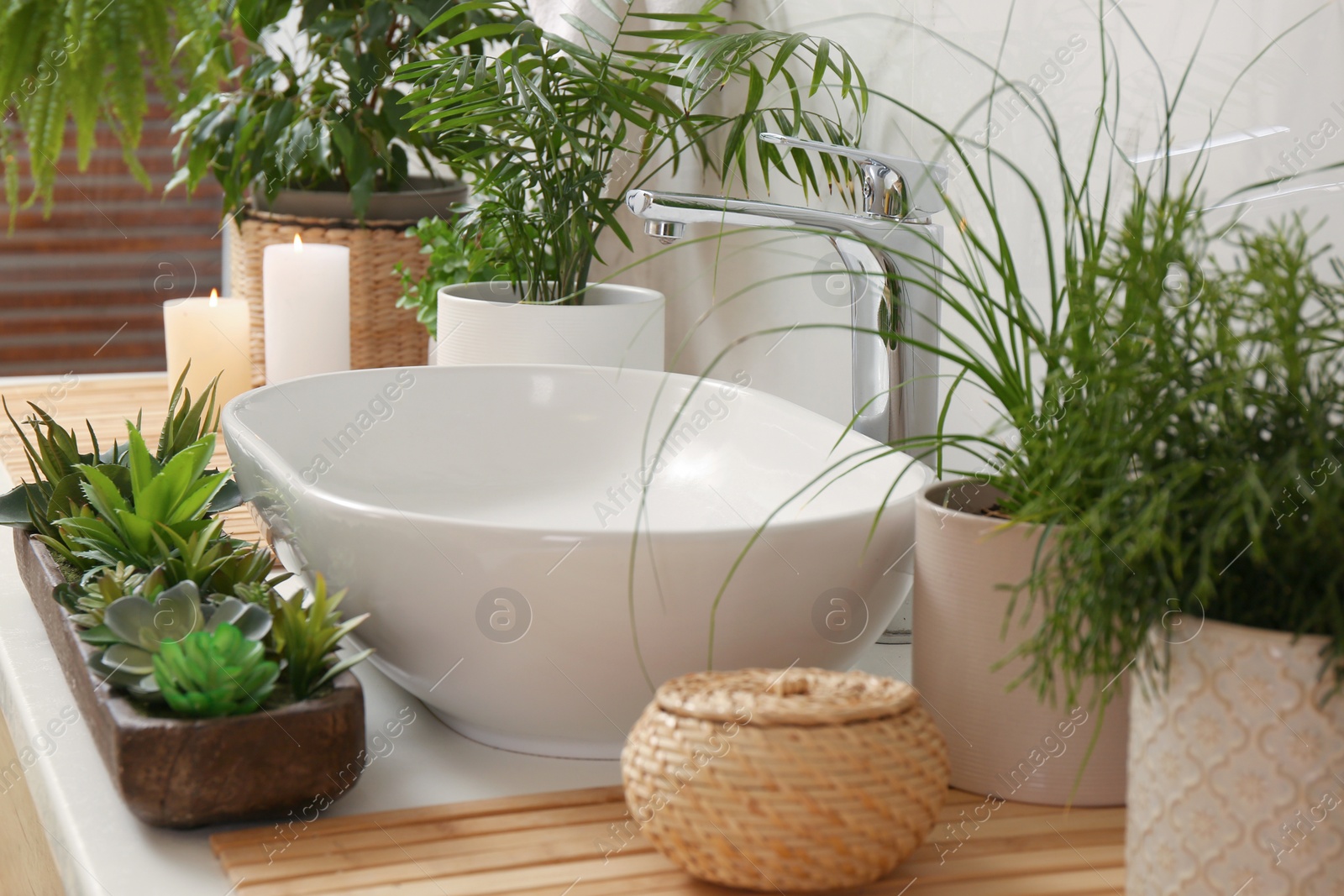 Photo of Counter with sink and many different houseplants near white marble wall