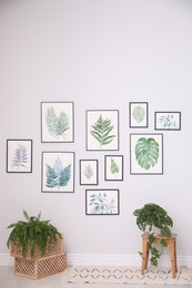 Beautiful paintings of tropical leaves on white wall in living room interior
