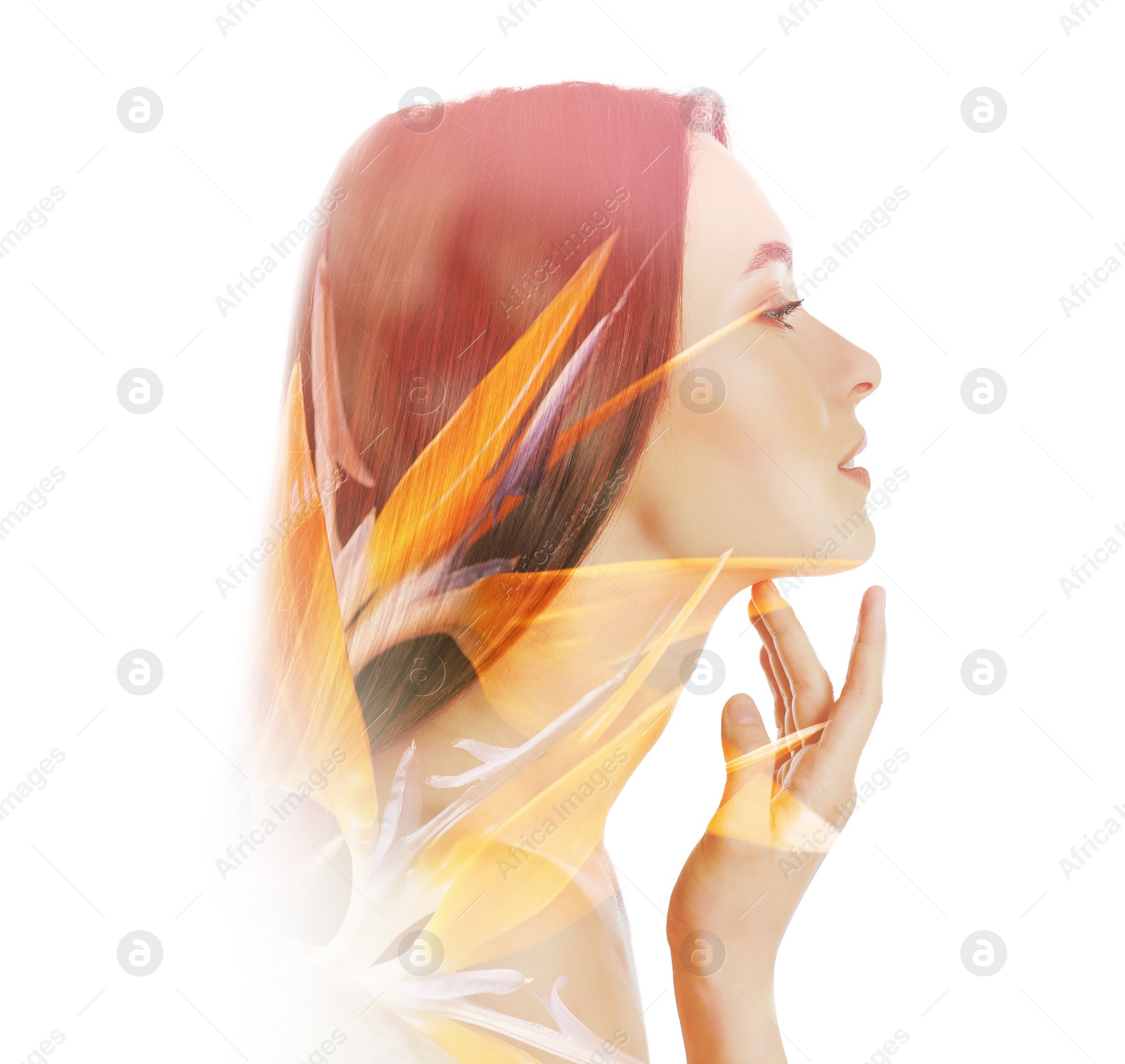 Image of Beautiful woman and exotic flower on white background. Double exposure